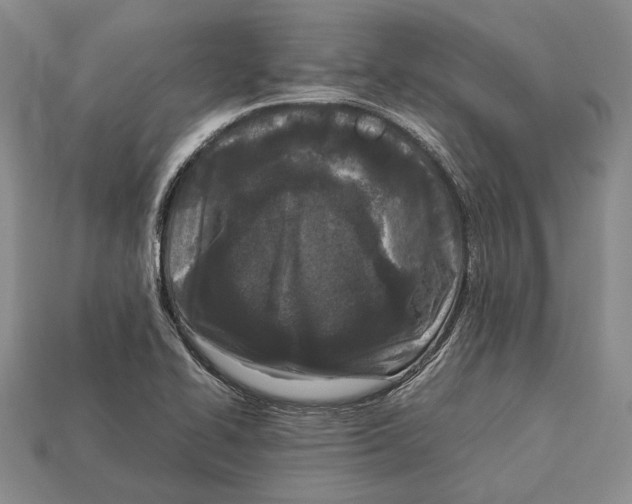 X0000113031414200909241404