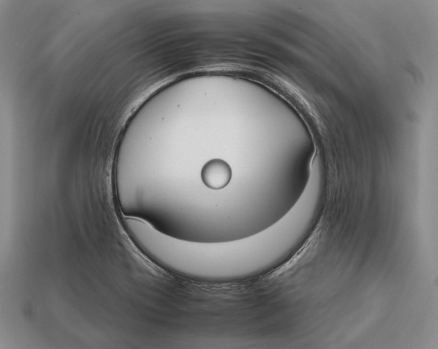 X0000113031417200909241404