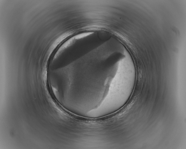 X0000113031418200909241404