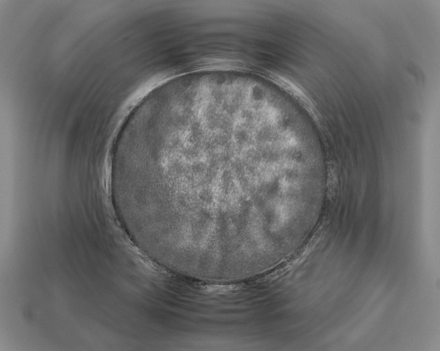 X0000113031419200909241404