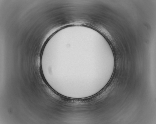 X0000113031420200909241404