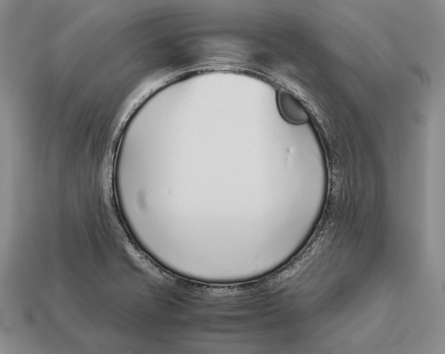 X0000113031421200909241404