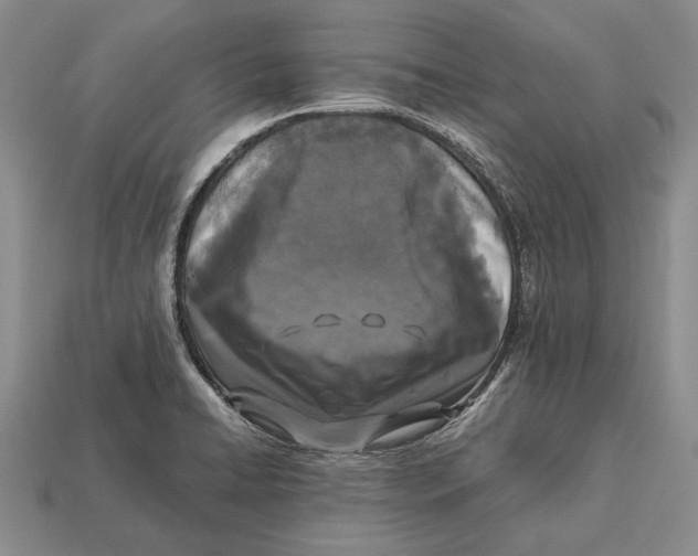 X0000113031422200909241404