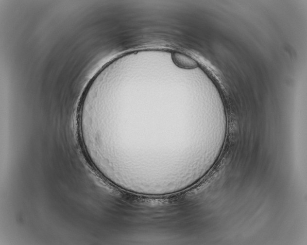 X0000113031423200909241404