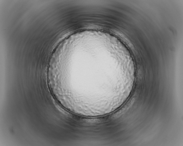 X0000113031425200909241404