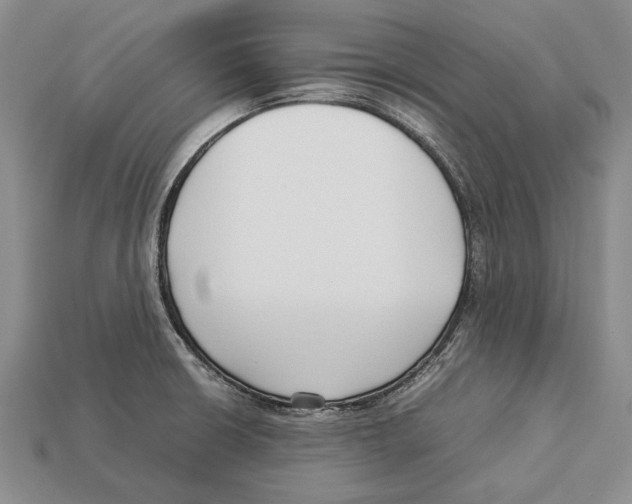 X0000113031426200909241404