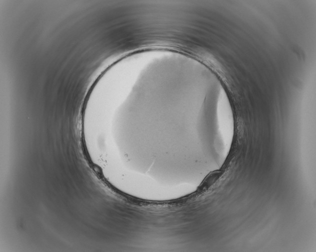 X0000113031428200909241404