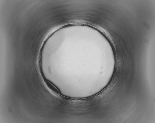 X0000113031429200909241404