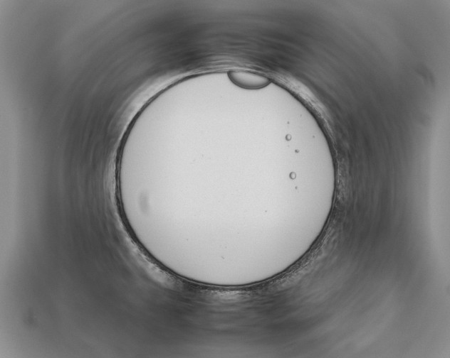 X0000113031431200909241404