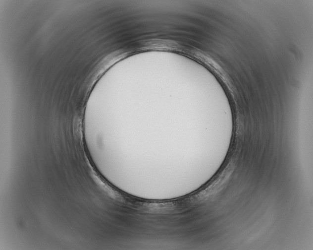 X0000113031433200909241404