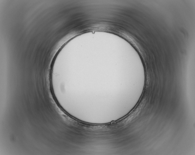 X0000113031434200909241404