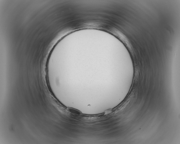 X0000113031435200909241404