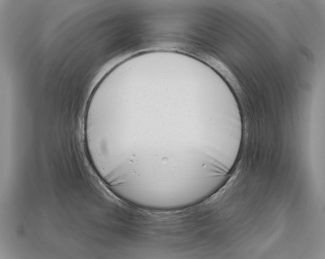 X0000113031436200909241404