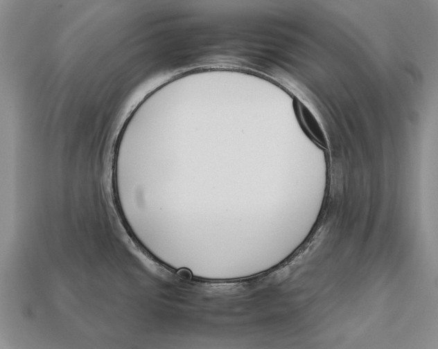 X0000113031437200909241404