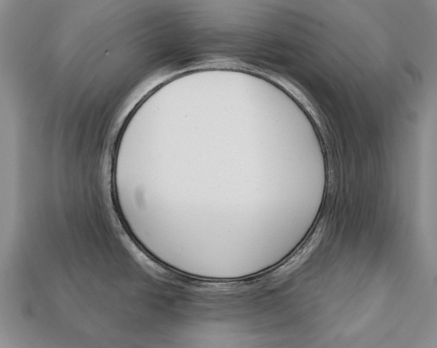 X0000113031438200909241404