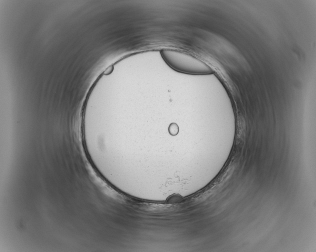 X0000113031439200909241404