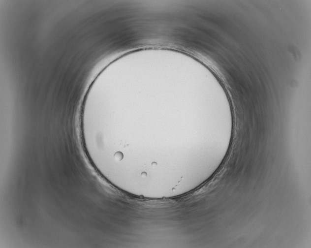 X0000113031440200909241404