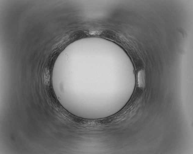 X0000113031443200909241403