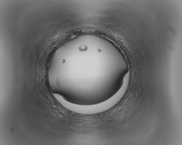 X0000113031445200909241403