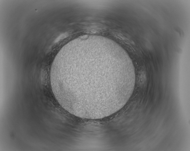 X0000113031446200909241403