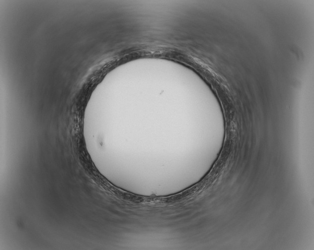 X0000113031447200909241403