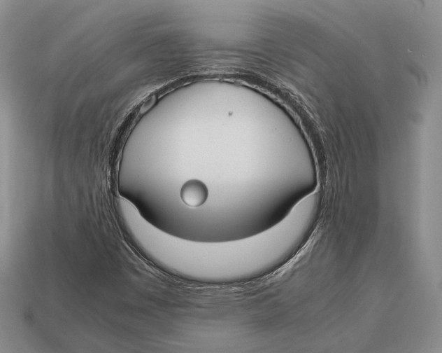 X0000113031449200909241403