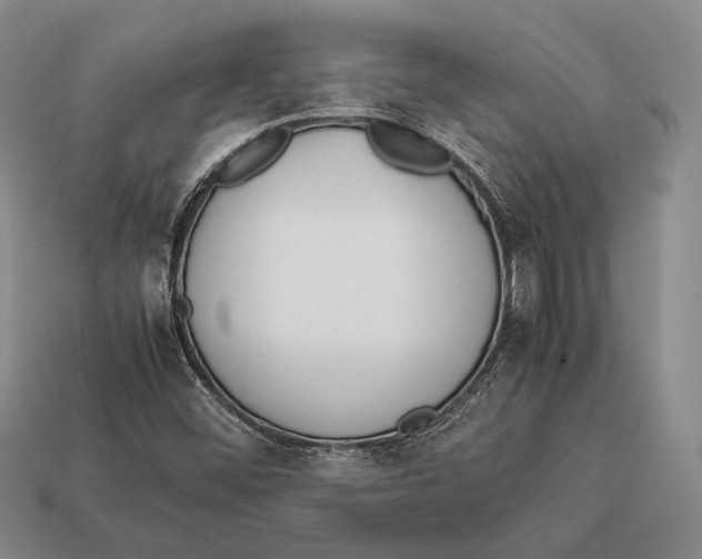 X0000113031452200909241403