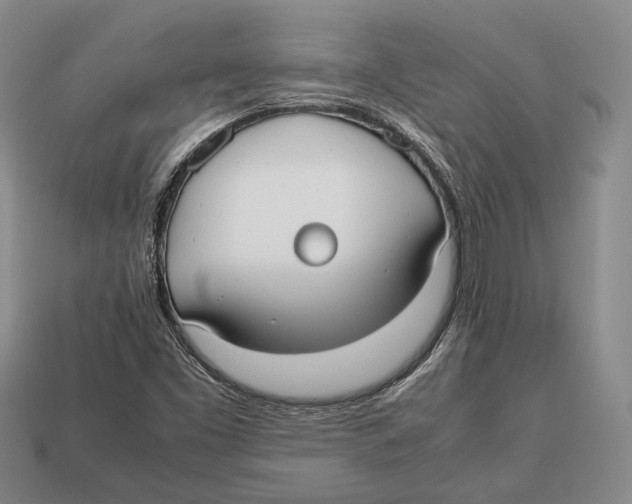 X0000113031453200909241403