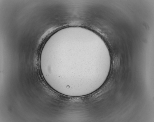 X0000113031454200909241403