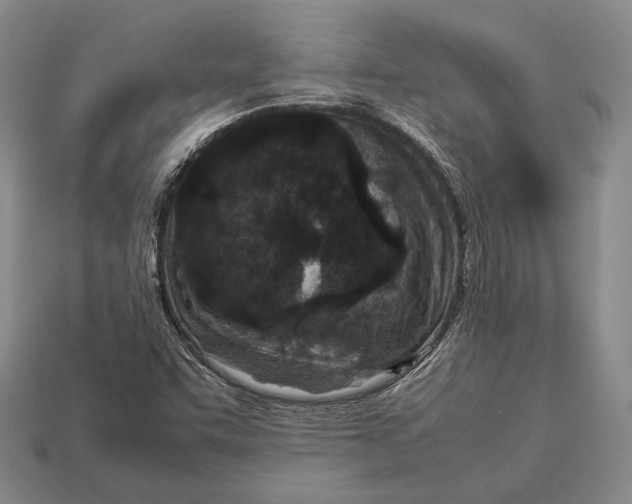 X0000113031455200909241403