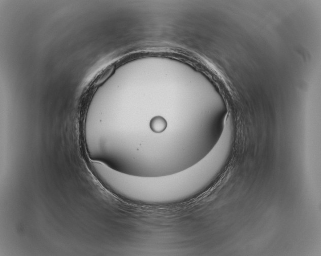 X0000113031456200909241403