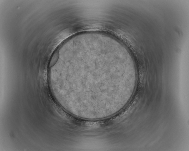 X0000113031457200909241403