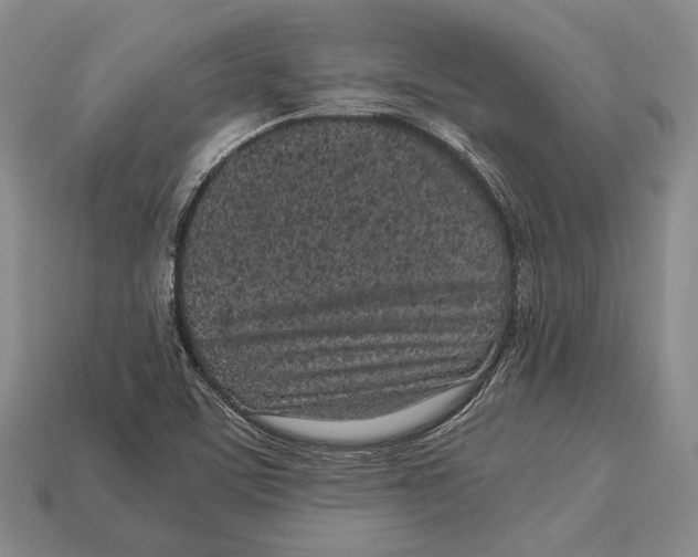 X0000113031459200909241403