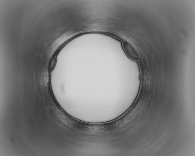 X0000113031461200909241403