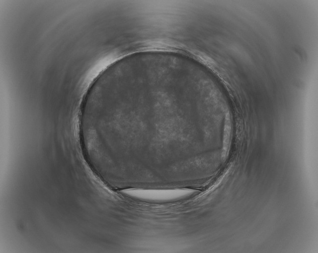 X0000113031463200909241403