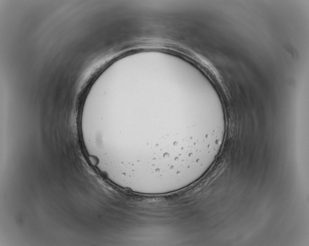 X0000113031464200909241403