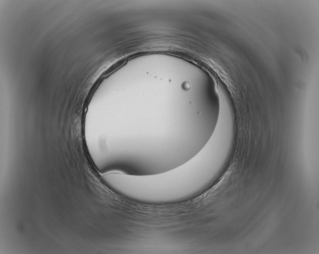 X0000113031465200909241403