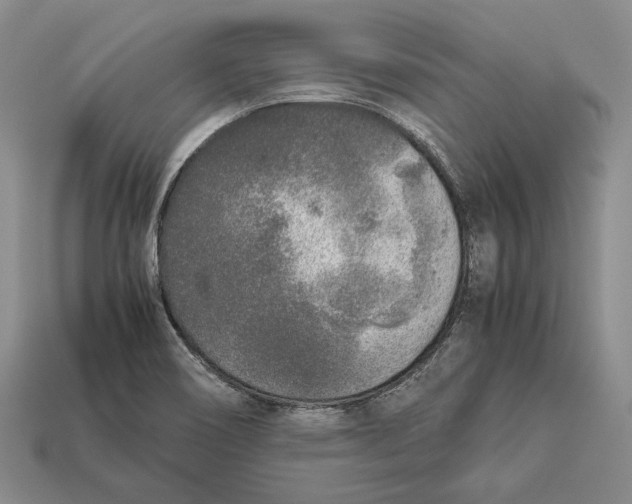 X0000113031466200909241403