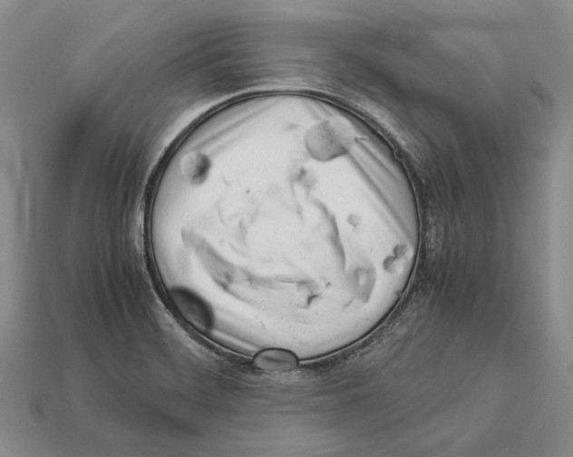 X0000113031468200909241403