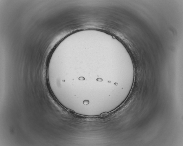 X0000113031469200909241403