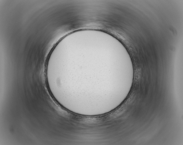 X0000113031470200909241403