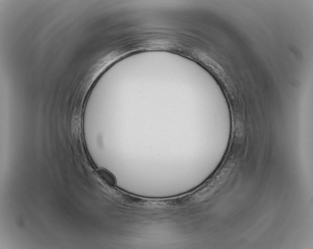 X0000113031473200909241403