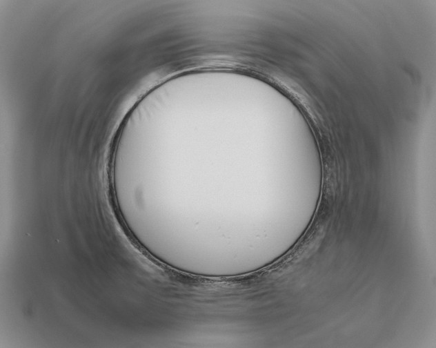 X0000113031475200909241403