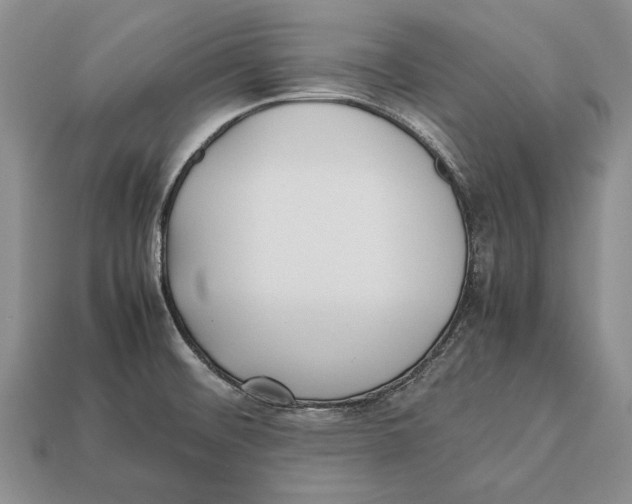 X0000113031476200909241403