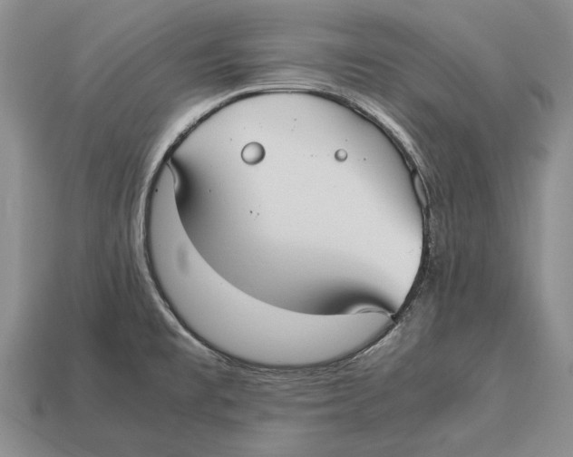 X0000113031477200909241403