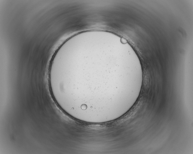 X0000113031478200909241403