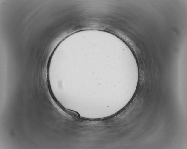 X0000113031479200909241403