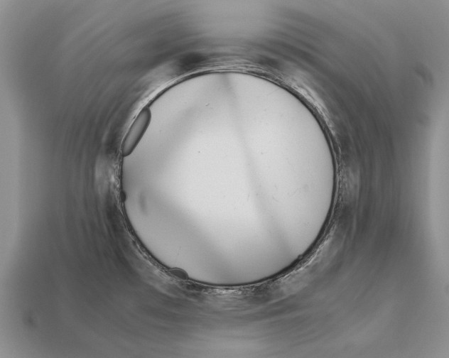 X0000113031481200909241403