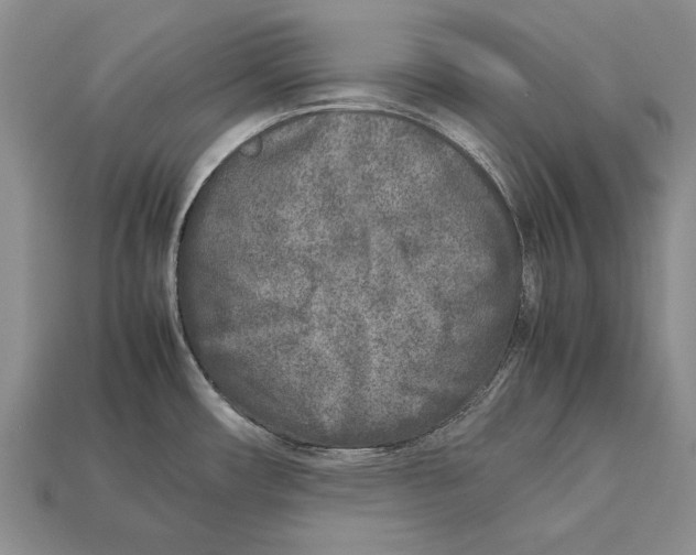 X0000113031482200909241403