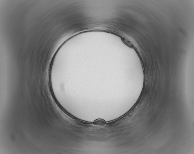 X0000113031483200909241403